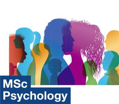 MSc Psychology Conversion FAQs Maynooth University   MSc Psychology Conversion 